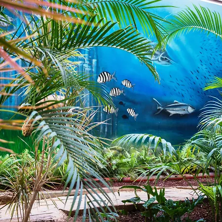 Hovima La Pinta Beachfront Family Hotel 4*