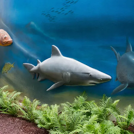 Hovima La Pinta Beachfront Family Hotel